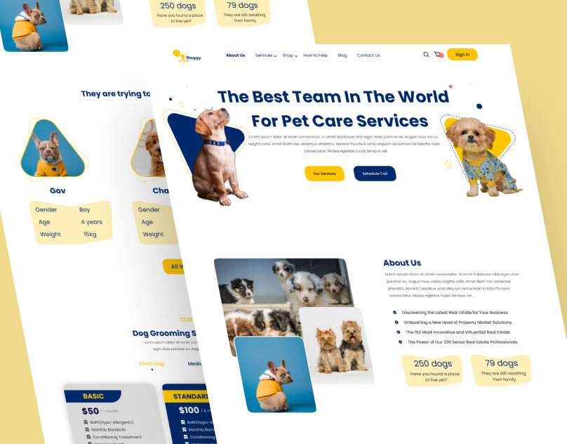 Pet Care Website Template: Top 7 Must-Have Features