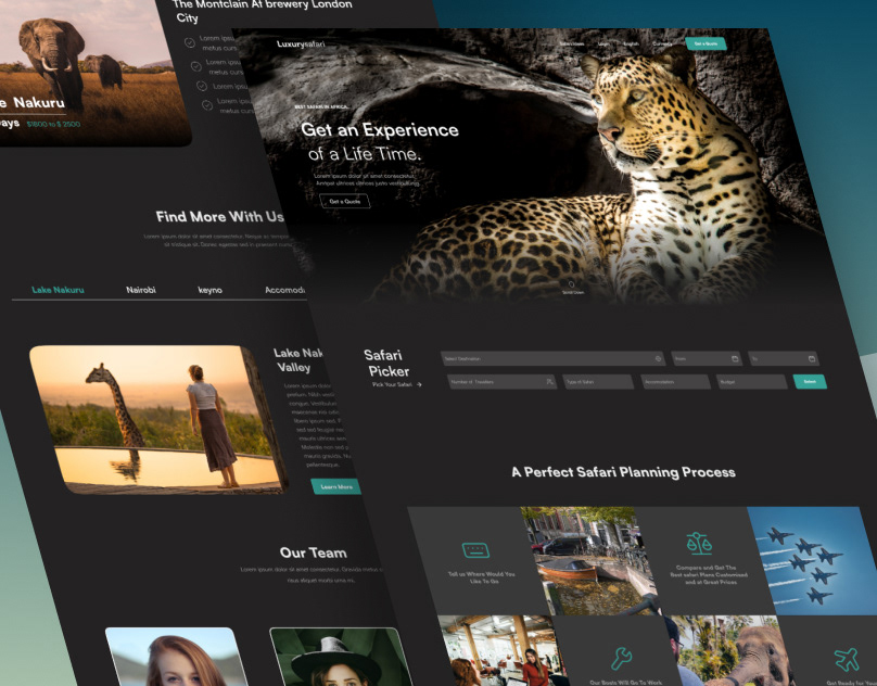 Safari Travel Agency Template Design